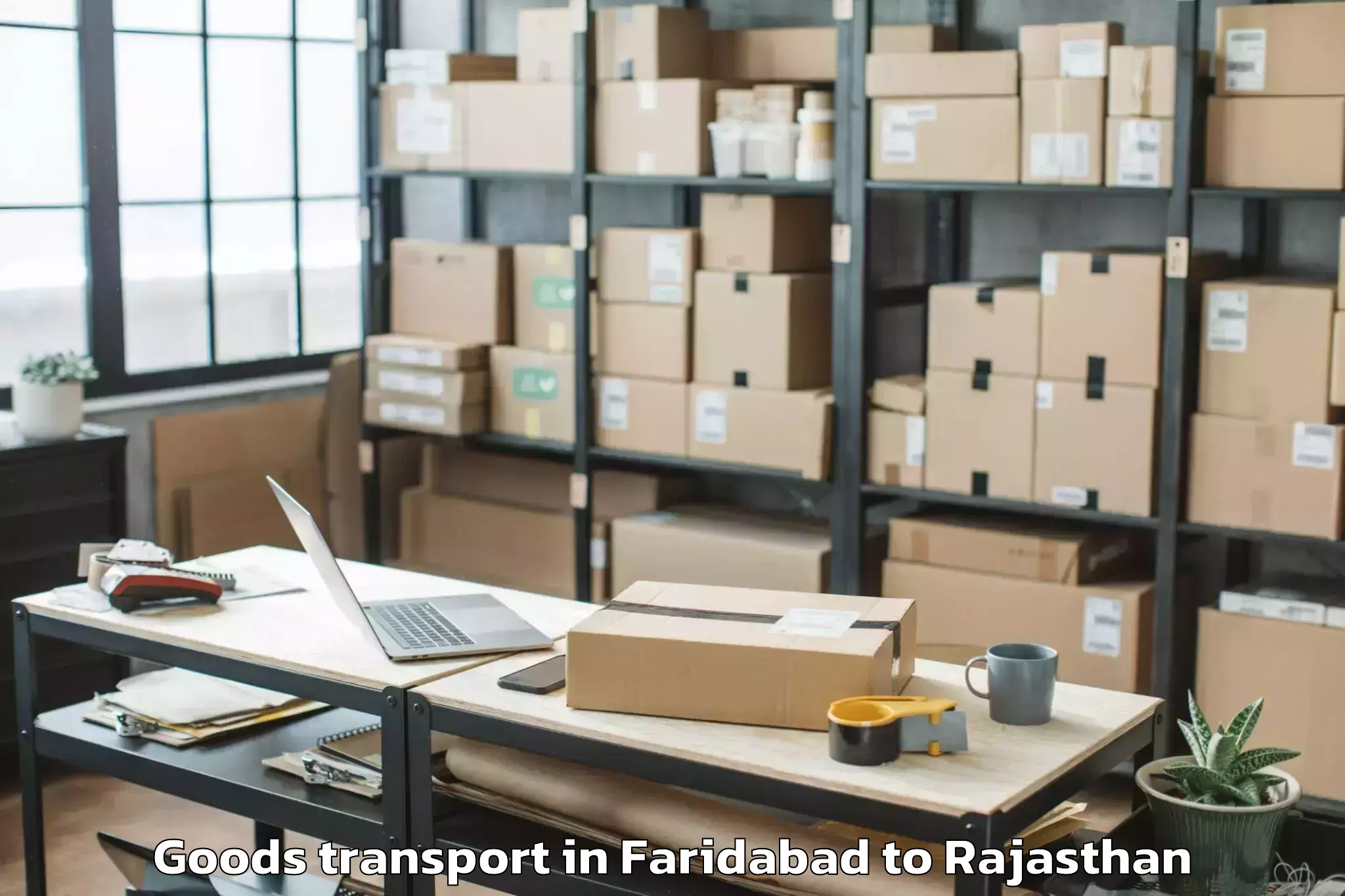 Professional Faridabad to Chittorgarh Goods Transport